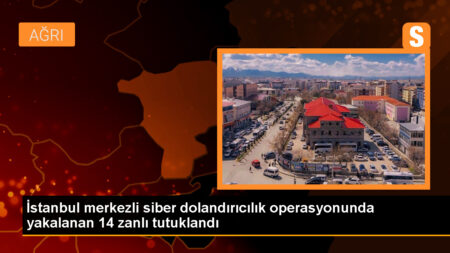 İstanbul merkezli siber dolandırıcılık operasyonu: 14 tutuklama
