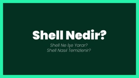 Web Shell Nedir?